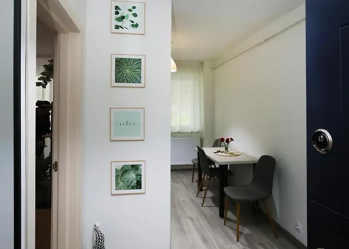 Apartamento Velvet
